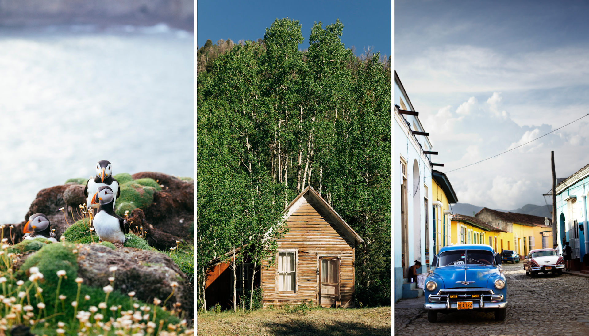 Puffins in Shetland; a cabin in Western Colorado; a street in Trinidad.